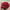 Topi US Polo ASSN Second Original Cap Model Baseball Merah