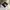The North Face Vintage Y2K Puffer jacket Pria white black photo 7