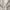 The North Face Vintage Y2K Puffer jacket Pria white black photo 8