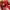 Adidas Spezial Handball Red White photo 6