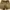 Jorts Pants Corduroy  photo 1