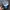 Topi Bud Light Racing Open Bottles Trucker Hat photo 7