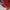 OTTAWA SENATORS NHL JERSEY HOCKEY photo 4