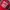 Topi Red Stag Jim Beam Drink Trucker Hat Spell Out photo 4