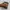 Vintage Boots Pria brown photo 3