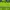 SEATTLE SEAHAWKS NFL JERSEY photo 7