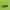 SEATTLE SEAHAWKS NFL JERSEY photo 3