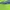 SEATTLE SEAHAWKS NFL JERSEY photo 6