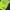 SEATTLE SEAHAWKS NFL JERSEY photo 1