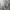 Champion Sportswear Casual Casual shirt Pria gray photo 3