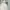 Dress pesta, wedding dress, preweed dress photo 2