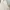 Dress pesta, wedding dress, preweed dress photo 3