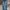 Celana jeans  photo 1