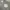 Adidas Streetwear Casual Hoody Pria gray photo 2
