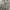 Adidas Streetwear Casual Hoody Pria gray photo 5