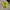Jersey Dortmund Home Kit photo 2