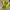 Jersey Dortmund Home Kit photo 3