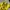 Jersey Dortmund Home Kit photo 4