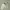 no void man sz S photo 2