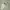 No Void Man Sz S