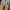 sandal selop sepatu wedding sepatu nikah sendal manik photo 1