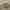 army colored short denim jeans photo 1
