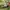 Viviene Tam Luxury Summer dress Wanita green photo 5