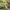Viviene Tam Luxury Summer dress Wanita green photo 7