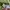 Viviene Tam Luxury Summer dress Wanita green photo 4