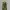 Viviene Tam Luxury Summer Dress Wanita Green