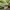 Viviene Tam Luxury Summer dress Wanita green photo 6