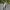 Crocodile Plaid Suit Blazers Drop Shoulder Office Core photo 2