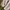 Cream Uniqlo Zip Fleece Deep Pile Sherpa Jacke photo 5