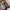 hoka challenger atr 7 negotiable  photo 4