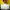 Apple watch ultra 2 warna titanium  photo 1