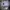 Apple watch ultra 2 warna titanium  photo 2