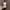 zara crop hoodie shanghai edition | nwt sweater photo 4