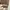 zara crop hoodie shanghai edition | nwt sweater photo 6