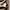 zara crop hoodie shanghai edition | nwt sweater photo 5