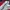 fila shortpants photo 6
