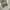Unknown brand balloon pants photo 5