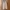 Korean Basic Cargo pants photo 6