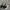 New Balance 237 Black White photo 1