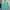 Vintage Minimalist Track jacket Pria green photo 1