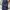 BAGGY JEANS TRIPEL J DARK NAVY 