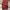 BAGGY PANTS UNIQLO U  photo 2