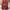 BAGGY PANTS UNIQLO U  photo 1