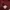 Ben Davis Pocket Maroon Longsleeve photo 6