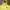 NIKE SB YELLOW PULLOVER HODIE  photo 2