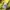 NIKE SB YELLOW PULLOVER HODIE  photo 4